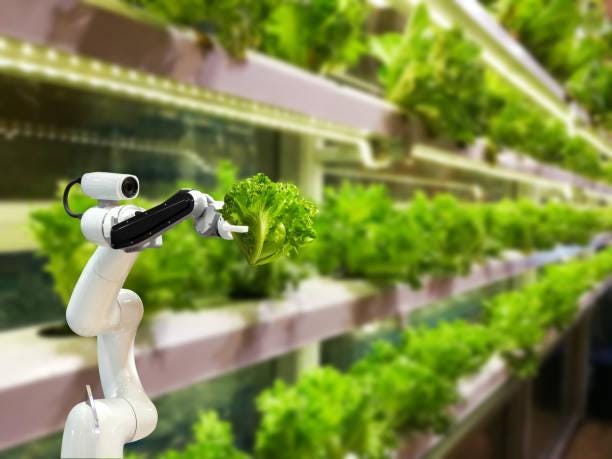 efficient farming with robots - AI https://spectruminsider.net/10-amazing-ways-ai-is-transforming-precision-agriculture-and-vertical-farming/